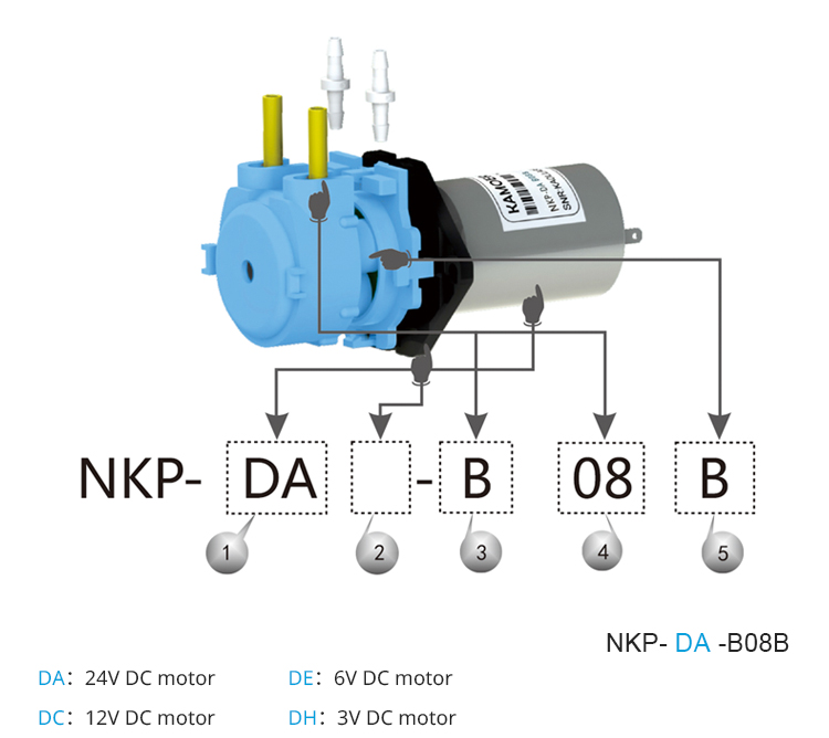 2026년형 NKP 6V 12V 24V DC 모터 컬러 - Nutrition & Fitness Station 리뷰 및 가격