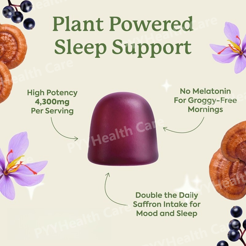 원더슬립 버섯 구미 수면 보조제 멜라토닌 무첨가, 영지 - Melatonin Sleep Gummy 리뷰 및 가격